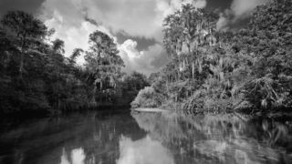 We did it! Thanks to your incredible support, the harmful development plans under the “Great Outdoors Initiative” have been put on hold. Our voices were heard—Florida’s state parks are safe, for now.

This victory shows the power of collective action. Thank you to everyone who signed the petition, shared posts, and took action.

We must stay vigilant to ensure our parks remain a sanctuary for nature.

📷 TRAPPER NELSON © 1989 | Jonathan Dickinson State Park, Florida