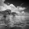 Gaskin Bay 5
