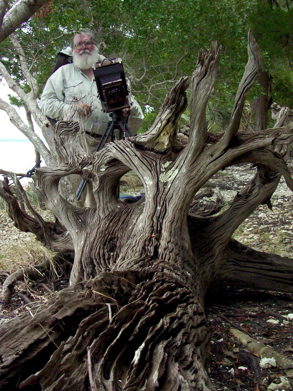 BUILT TO GRIND INDEPENDENT 25 YEARS 写真集 St. Vincent Island Driftwood