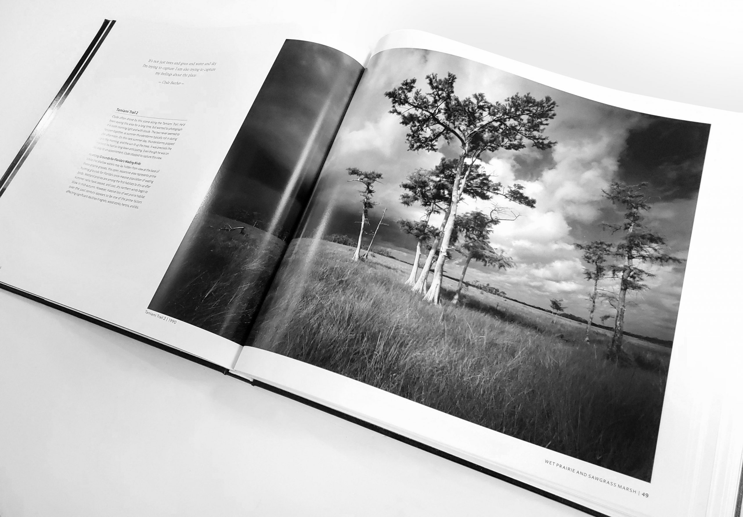 The Everglades - LTD