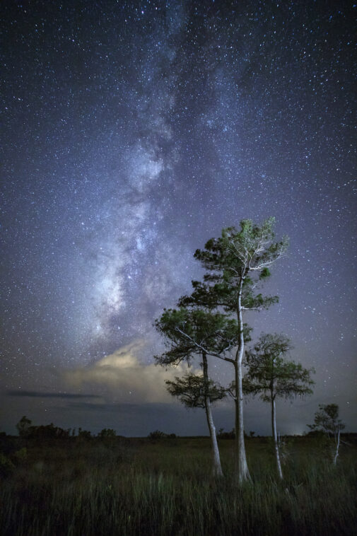 Tamiami Trail Milky Way